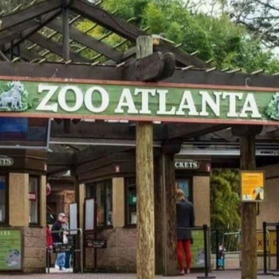 Cierran más temprano el Zoológico de Atlanta por el calor