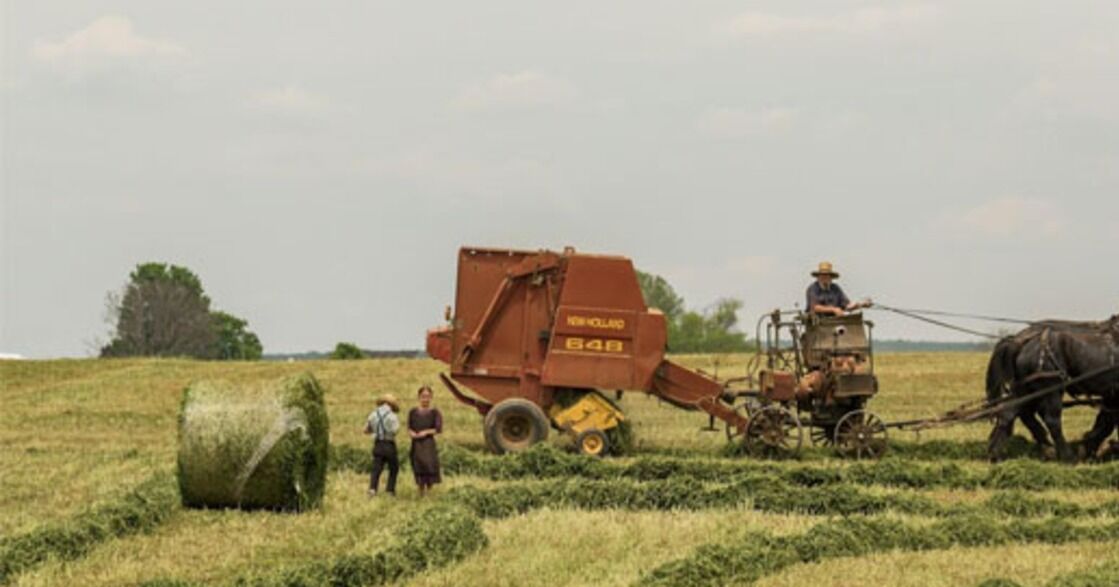 Agricultura ecológica: el auge de las soluciones sostenibles en la agricultura moderna