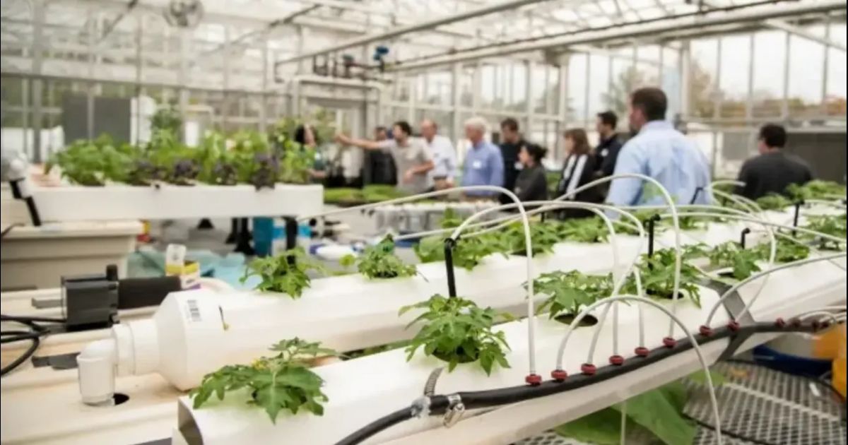 Cornell recibe financiación del USDA como parte de una iniciativa de investigación de cultivos especializados
