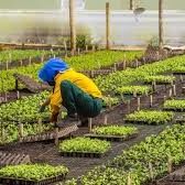 Economía colombiana creció 1,6% en febrero impulsada por gasto público y comercio; agro y minas siguen en rojo