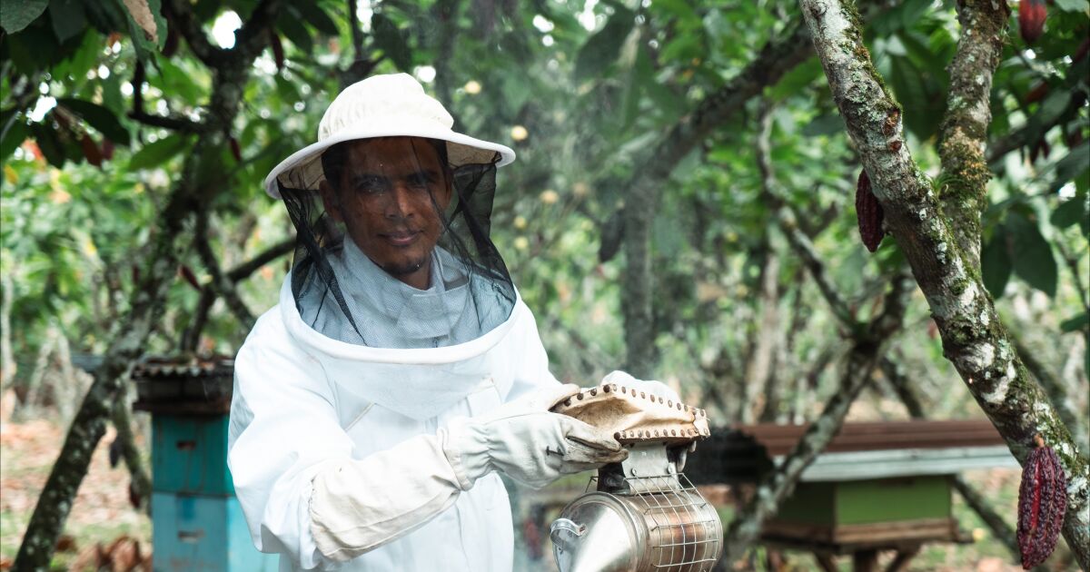 Nestlé Ecuador impulsa soluciones sostenibles para mitigar el calentamiento global