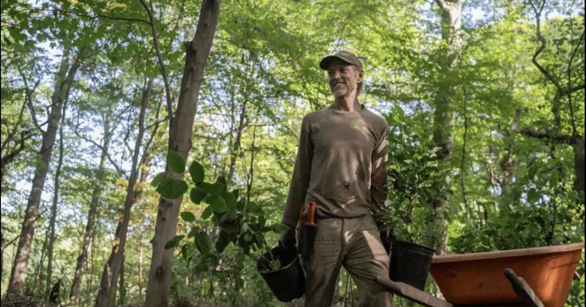 Subvenciones de 22 millones de dólares de Con Edison se centran en empleos verdes, resiliencia climática y justicia ambiental