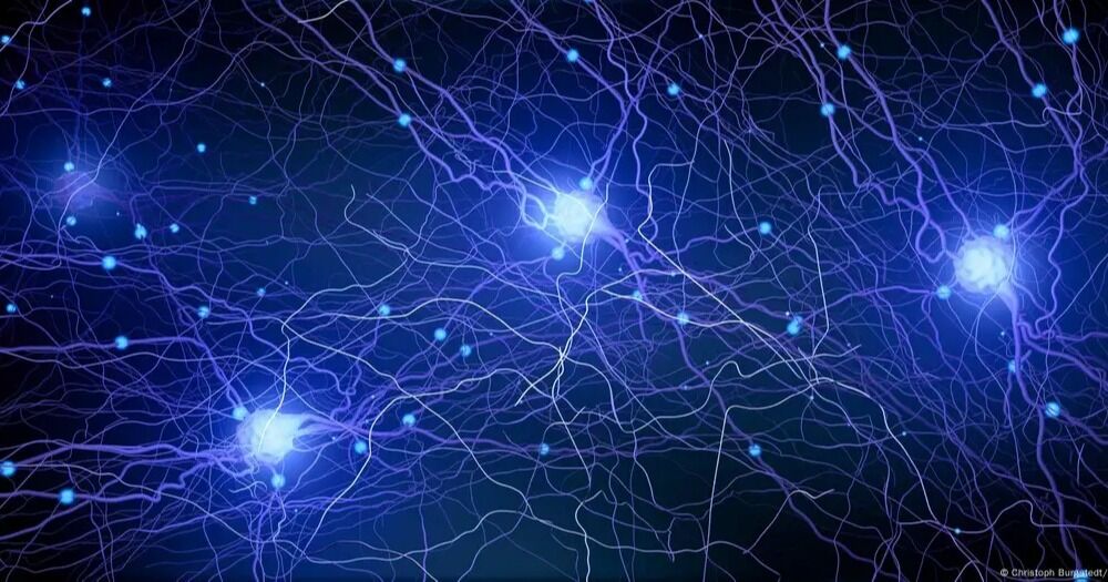 Estudio demuestra que nuestro cerebro es mucho más lento que el Internet