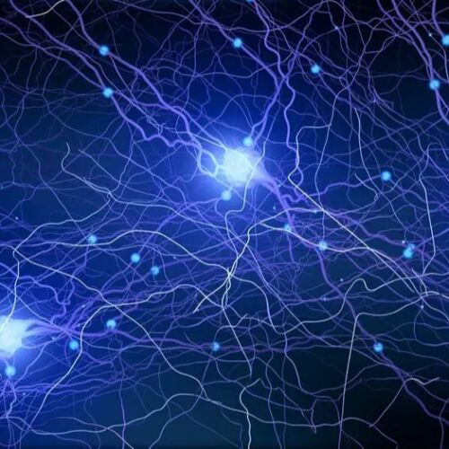 Estudio demuestra que nuestro cerebro es mucho más lento que el Internet