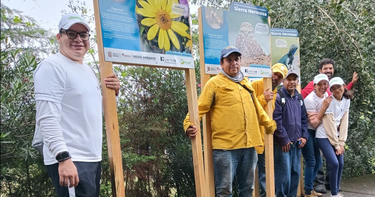 Norte 19 celebra el Día Internacional del Voluntariado y reconoce el compromiso ambiental de sus colaboradores