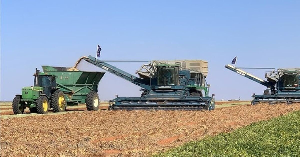 Inversión de AMADAS en Dougherty