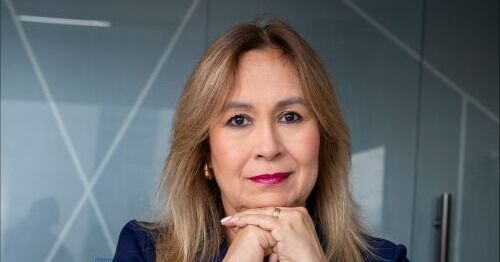 De las palabras a la estrategia: Sostenibilidad en acción.