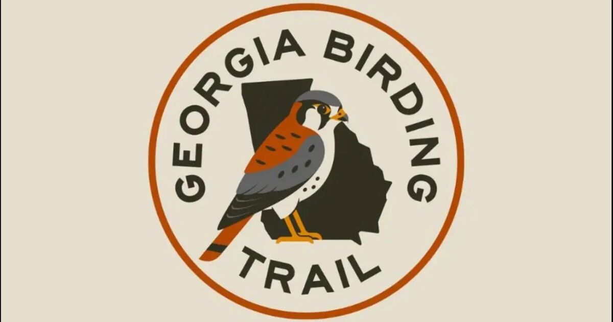Birds Georgia anuncia una ruta estatal de observación de aves en Georgia para celebrar el centenario