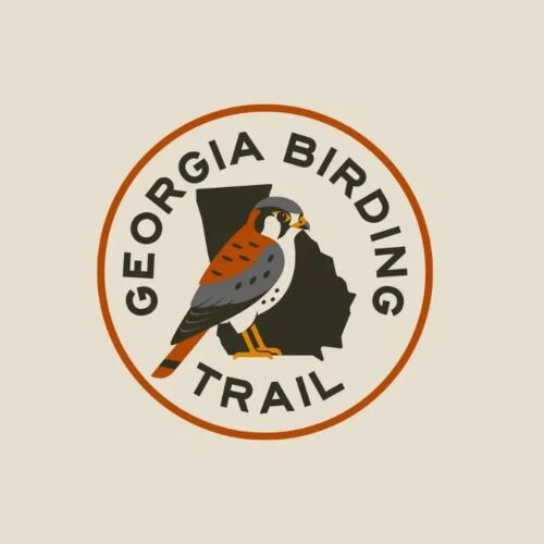 Birds Georgia anuncia una ruta estatal de observación de aves en Georgia para celebrar el centenario