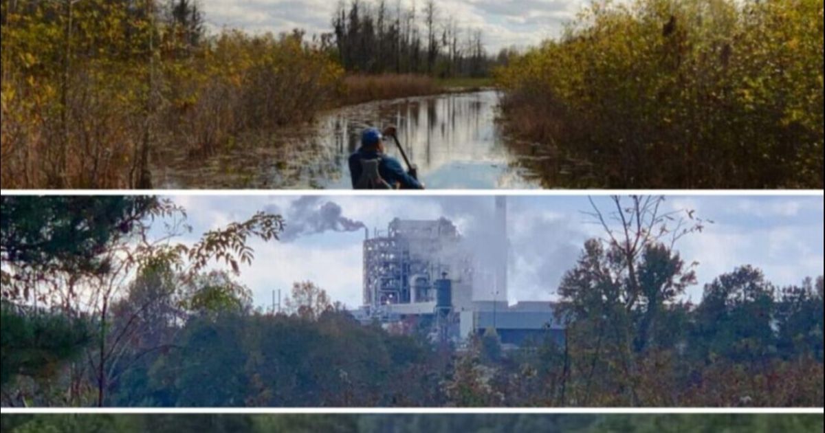 Reporte del Día de la Tierra: los georgianos luchan contra las amenazas a las maravillas naturales del estado durante todo el año