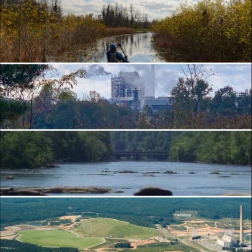 Reporte del Día de la Tierra: los georgianos luchan contra las amenazas a las maravillas naturales del estado durante todo el año
