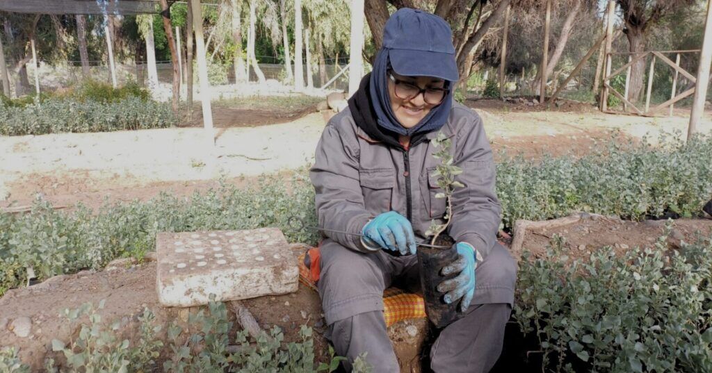 CONAF valora compromiso de trabajadores del PEE en Vivero de Illapel