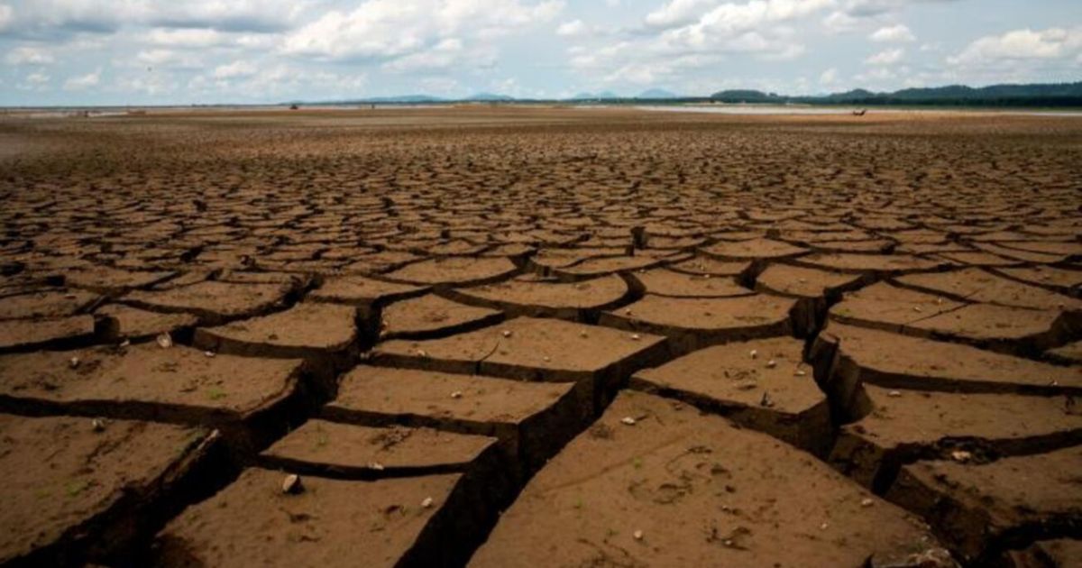 WWF presenta “Los Juegos del Clima: Los récords mundiales que no queremos batir”