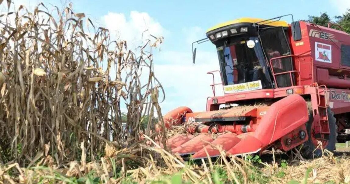 Venezuela reporta crecimiento del 8,6% en sector agrícola y pecuario en 2025