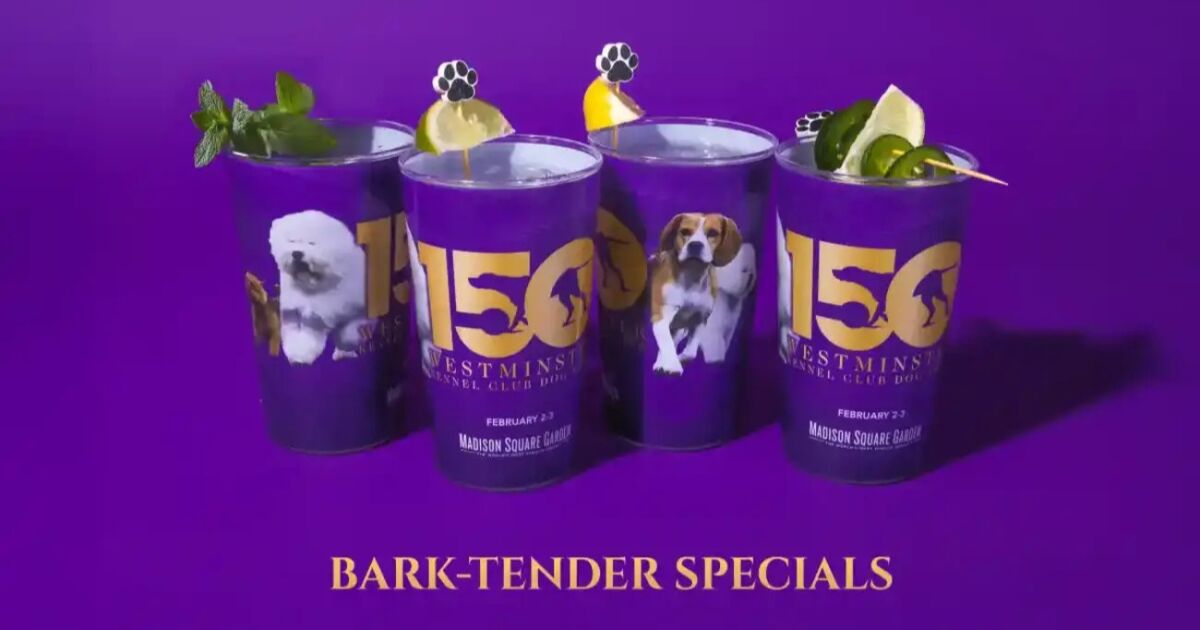 El 150.º aniversario del Westminster Dog Show trae a los mejores perros y comidas temáticas al Madison Square Garden