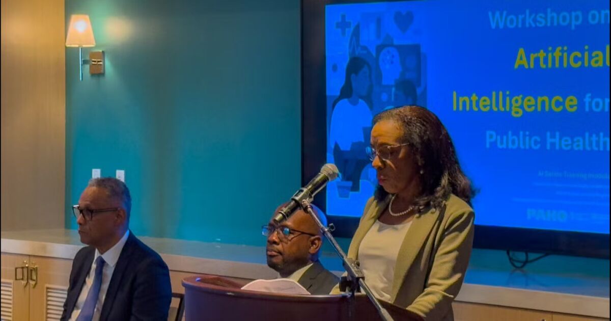 La OPS/OMS y el Ministerio de Salud y Bienestar de las Bahamas organizan un taller sobre inteligencia artificial y ciberseguridad en las Bahamas