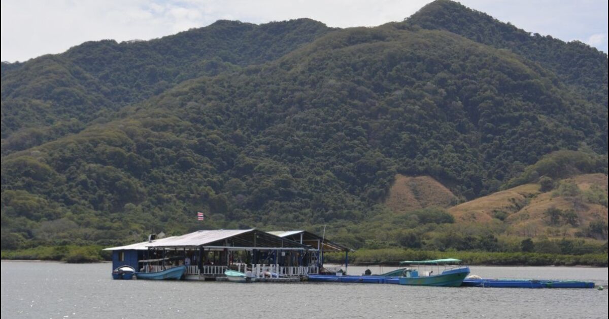 Cuatro granjas marinas y restaurantes flotantes impulsan empleo y desarrollo en el Golfo de Nicoya