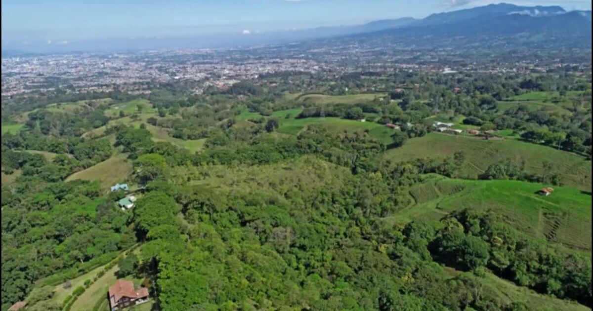 Proyecto en Goicoechea logra capturar hasta cinco veces más carbono del que genera una empresa tecnológica