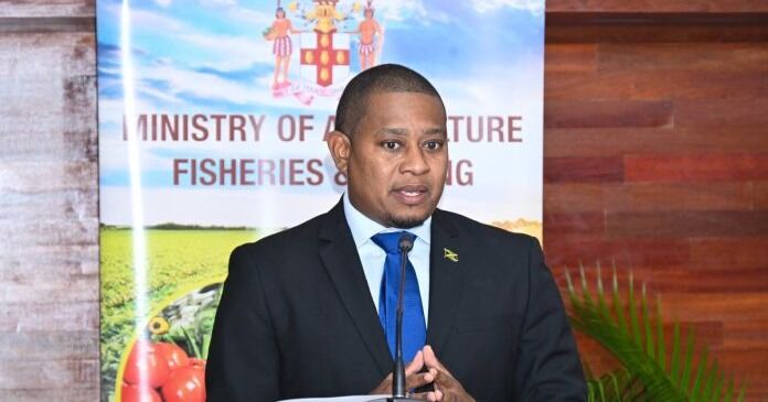 Jamaica lanza iniciativas para abordar el excedente de cultivos