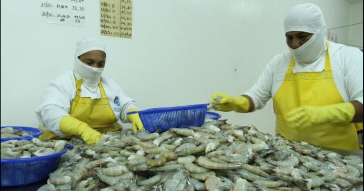 El camarón ecuatoriano apunta a ser la proteína insignia del país