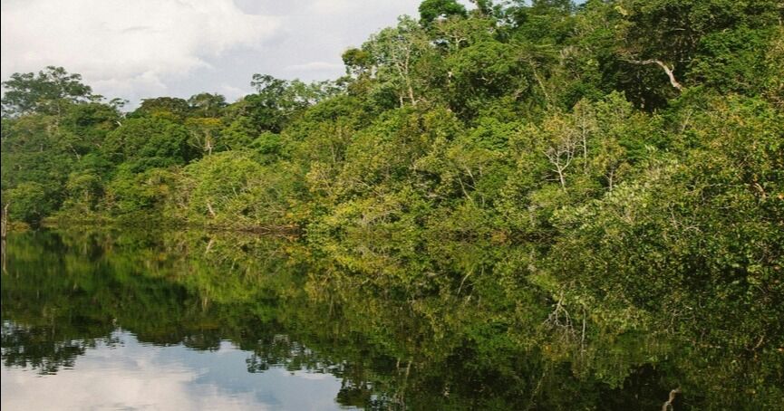 Evento clave en la COP30, comunidades indígenas de Latinoamérica denuncian ralentización en la demarcación territorial