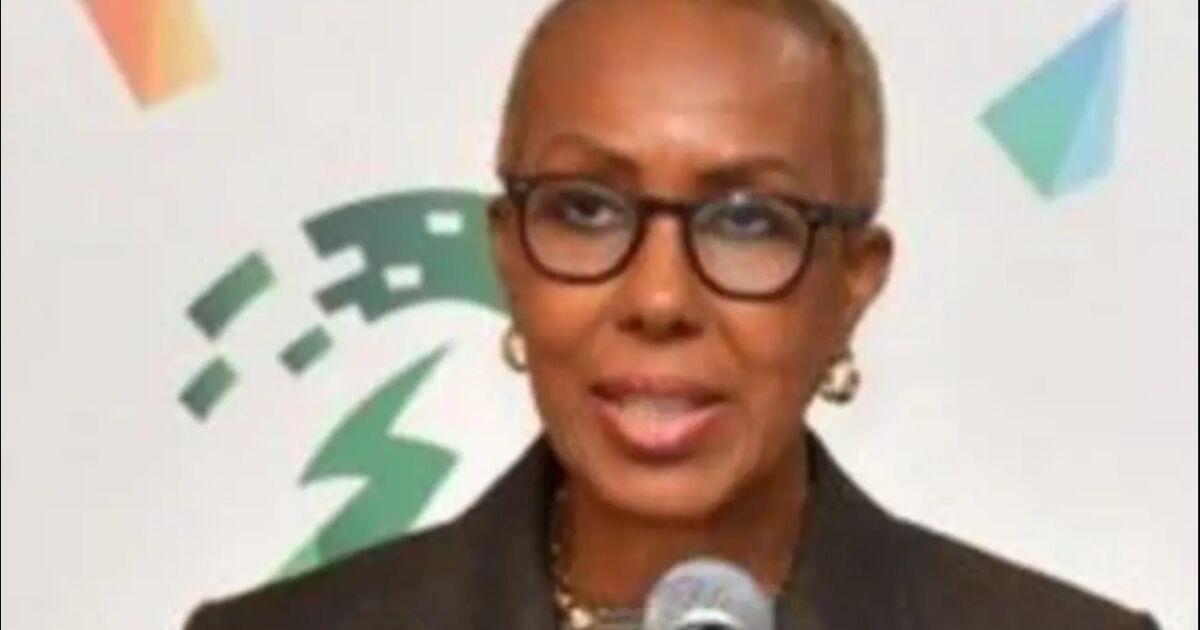 Jamaica está bien posicionada para afrontar las crisis de los precios del petróleo, dice el ministro