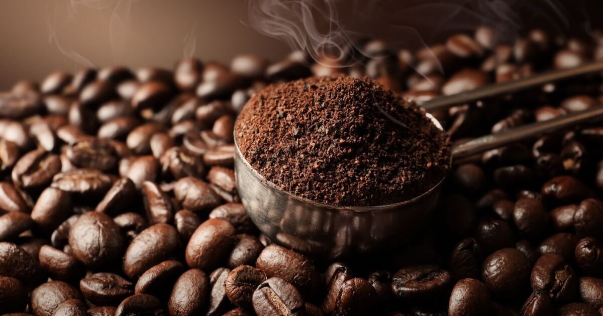 Ley del Café abre paso a un esquema formal de financiamiento