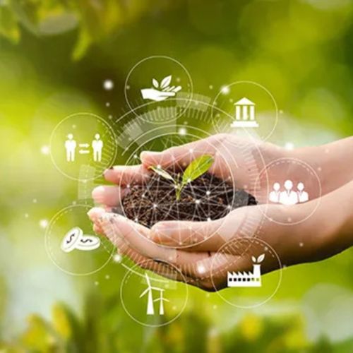 Impact Pathways genera valor social y comercial para los clientes