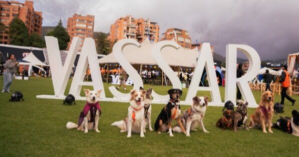 Vassar Feria anuncia sus novedades para la próxima edición: Kids Corner, arte local y e-commerce para todo el país