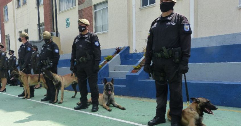 Donados por Francia cuatro canes al Centro Regional de Adiestramiento Canino para combatir el crimen