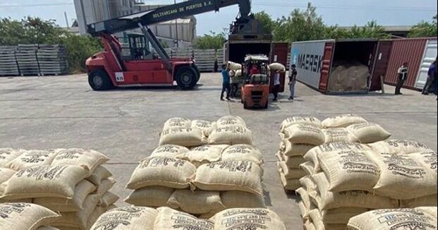 Exportan más de 240 toneladas de café verde a EE.UU. y China desde Lara