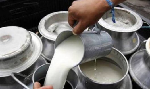 Ganaderos exigen otras medidas para poder sacar producción de leche
