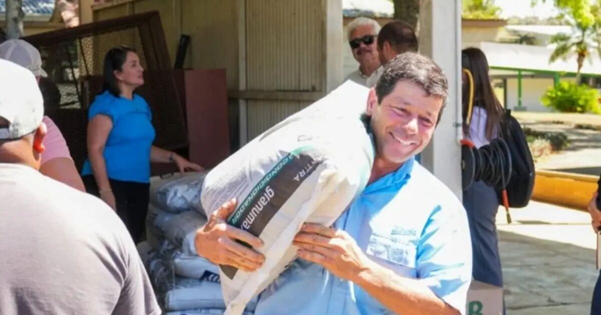 MAG impulsa producción de híbrido de tomate de la UCR para fortalecer la seguridad alimentaria