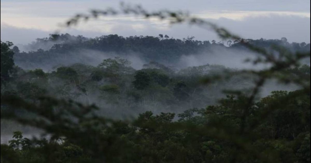 Proyecto KBA identifica 125 áreas clave para su conservación en Ecuador