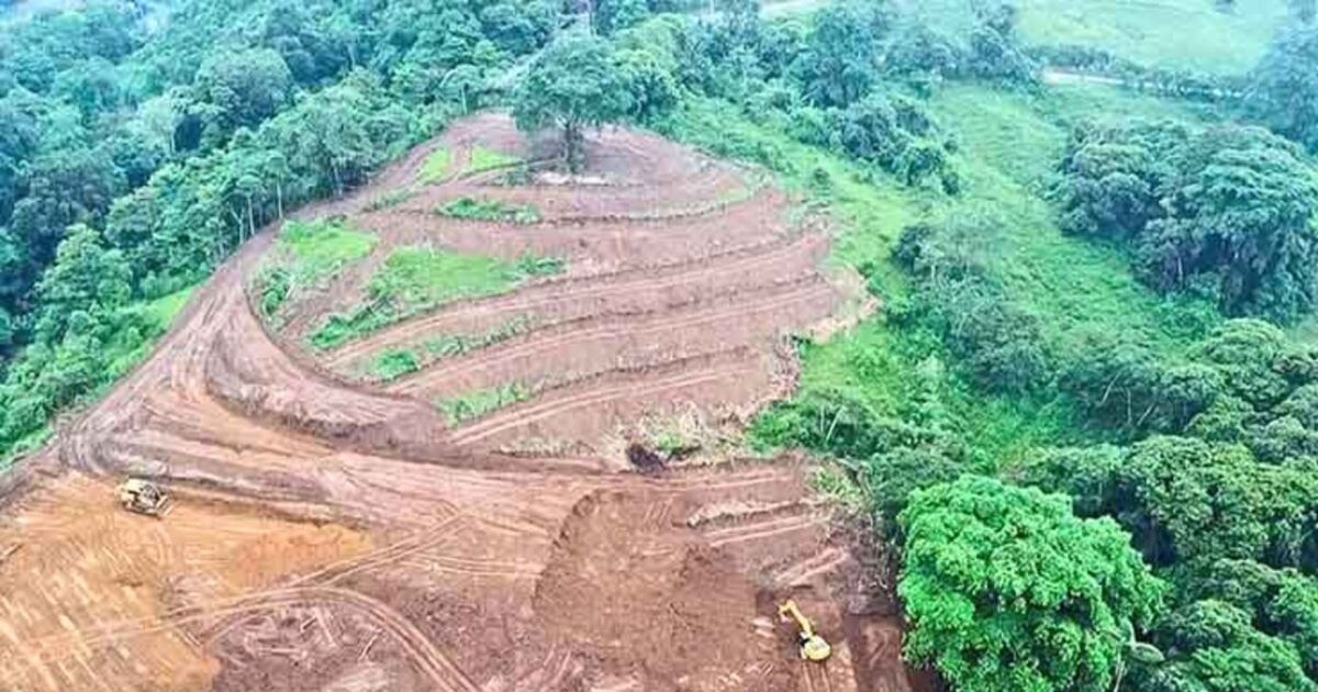 Cerro Bombolí, una batalla legal que continúa en el 2025