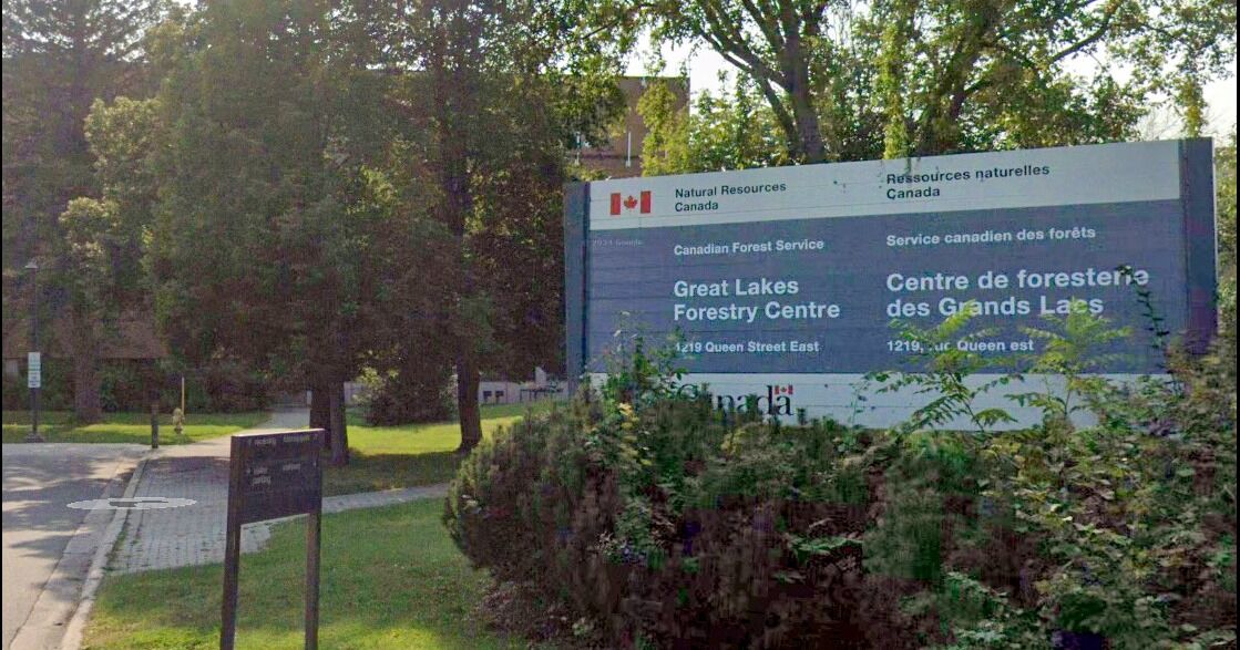 Canadá impulsa la transformación del sector forestal para proteger los empleos y fortalecer las comunidades en todo el país