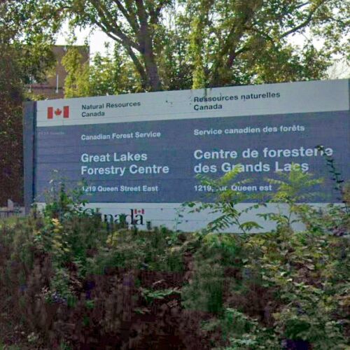 Canadá impulsa la transformación del sector forestal para proteger los empleos y fortalecer las comunidades en todo el país