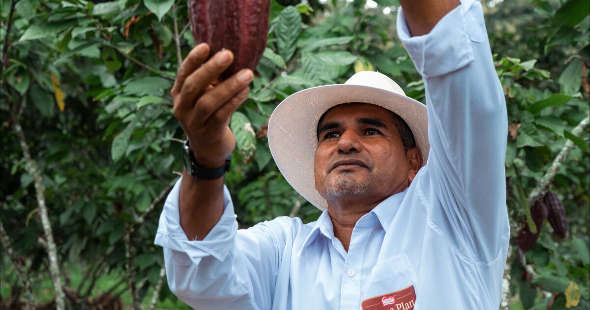 Creación de Valor Compartido, el modelo de negocio de Nestlé Ecuador que une crecimiento y propósito
