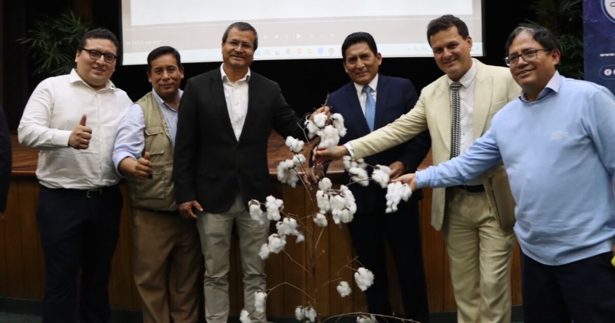 UNALM presenta algodón “Molinero extralargo”: innovación peruana  para la industria textil y el cambio climático