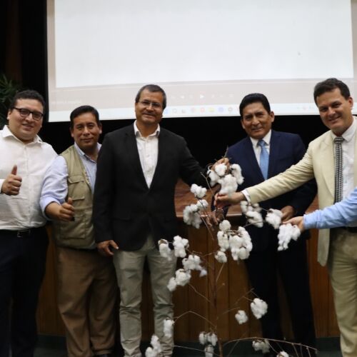 UNALM presenta algodón “Molinero extralargo”: innovación peruana  para la industria textil y el cambio climático