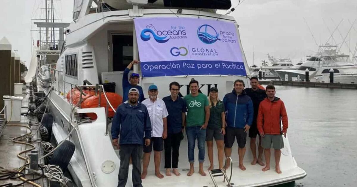 Expedición costarricense al Pacífico para estudiar tiburones, mantarrayas y tortugas marinas