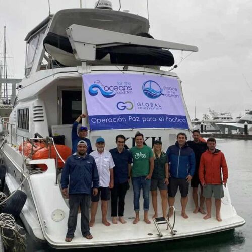 Expedición costarricense al Pacífico para estudiar tiburones, mantarrayas y tortugas marinas