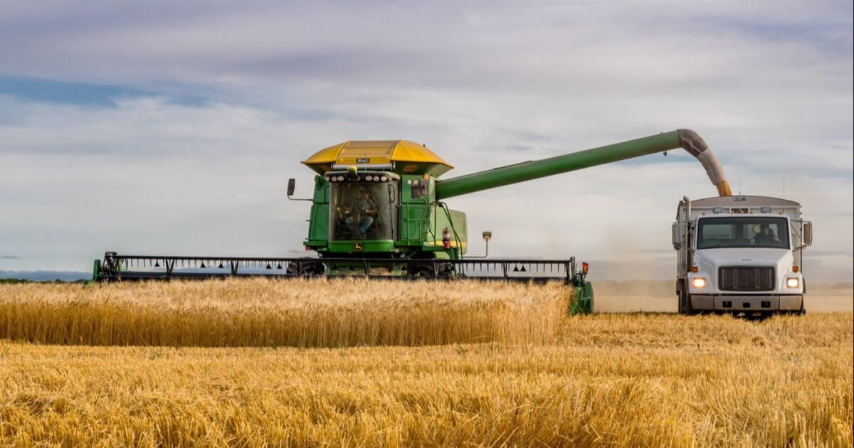 El Gobierno de Canadá invierte en el empleo juvenil en la agricultura canadiense