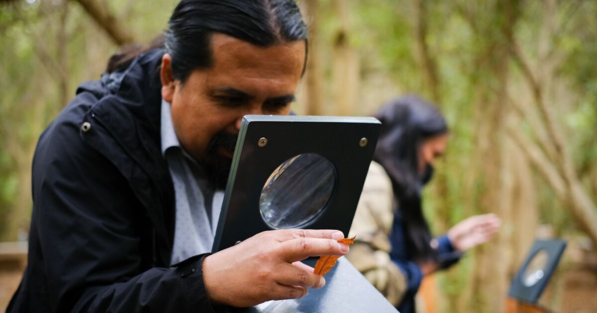 Paseos en bote, talleres educativos y experiencias inmersivas: los panoramas que ofrece el Humedal río Maipo para un verano en contacto con la naturaleza.