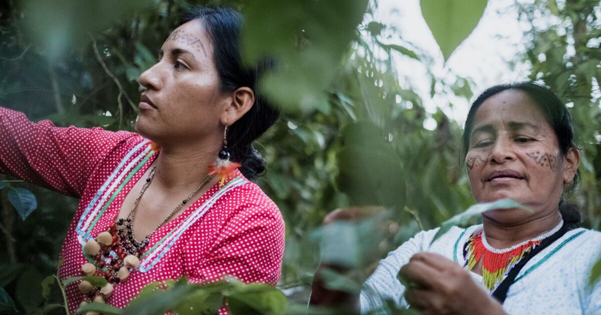 Diversidad ambiental