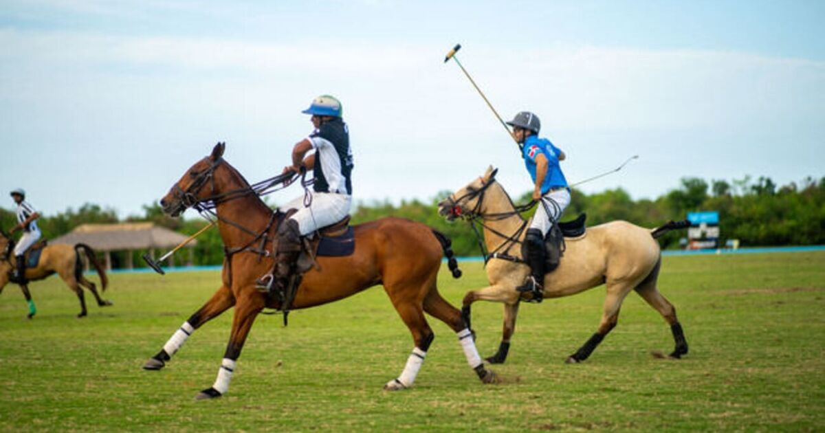 Save the Children Dominicana refuerza su compromiso con la educación infantil en su octava Copa de Polo