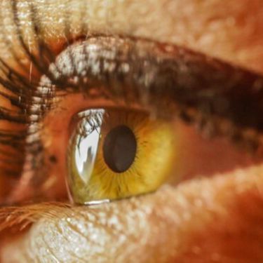 Tus ojos, una ventana al cerebro