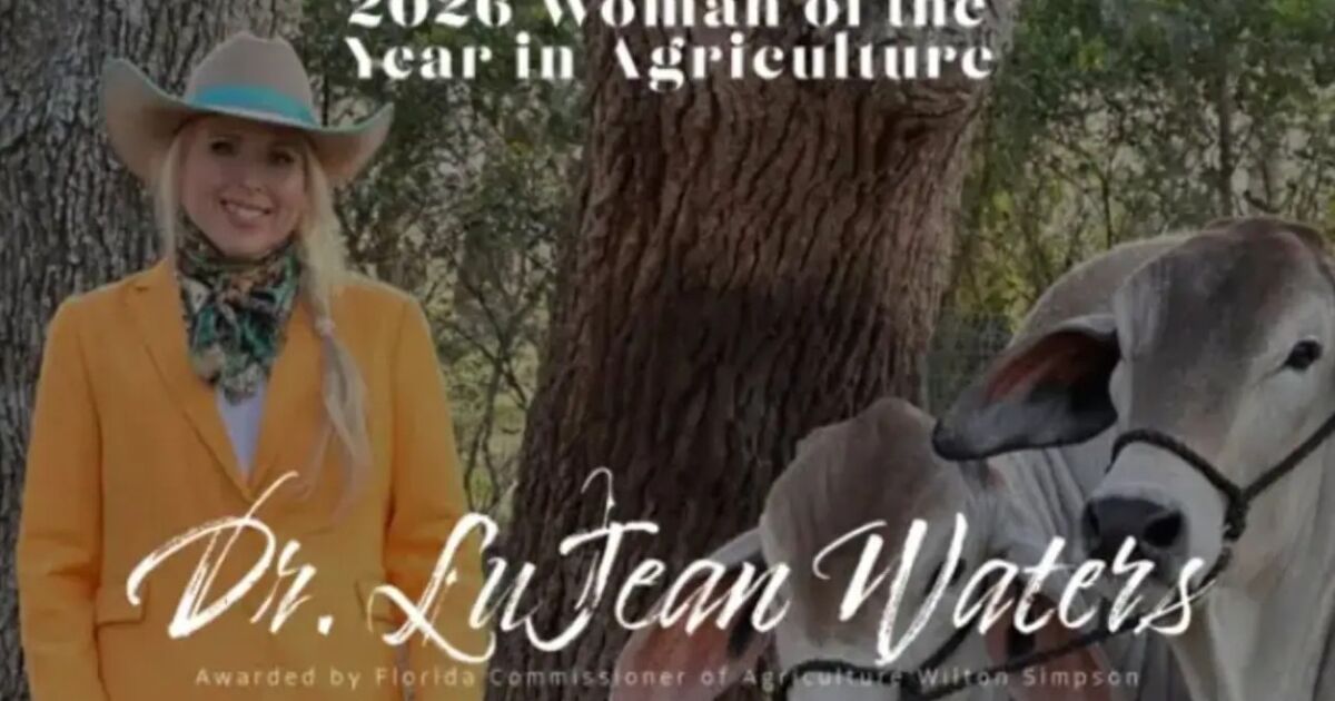 Pionera de la ganadería en Florida: La Dra. LuJean Waters nombrada Mujer del Año 2026 en Agricultura