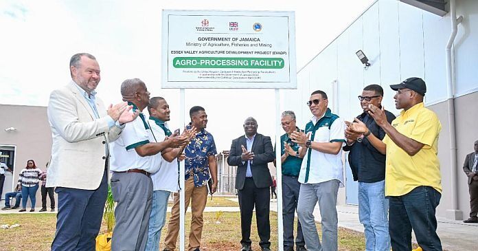 Jamaica inaugura histórica planta de procesamiento agrícola en el Valle de Essex con apoyo del CDB y el Reino Unido