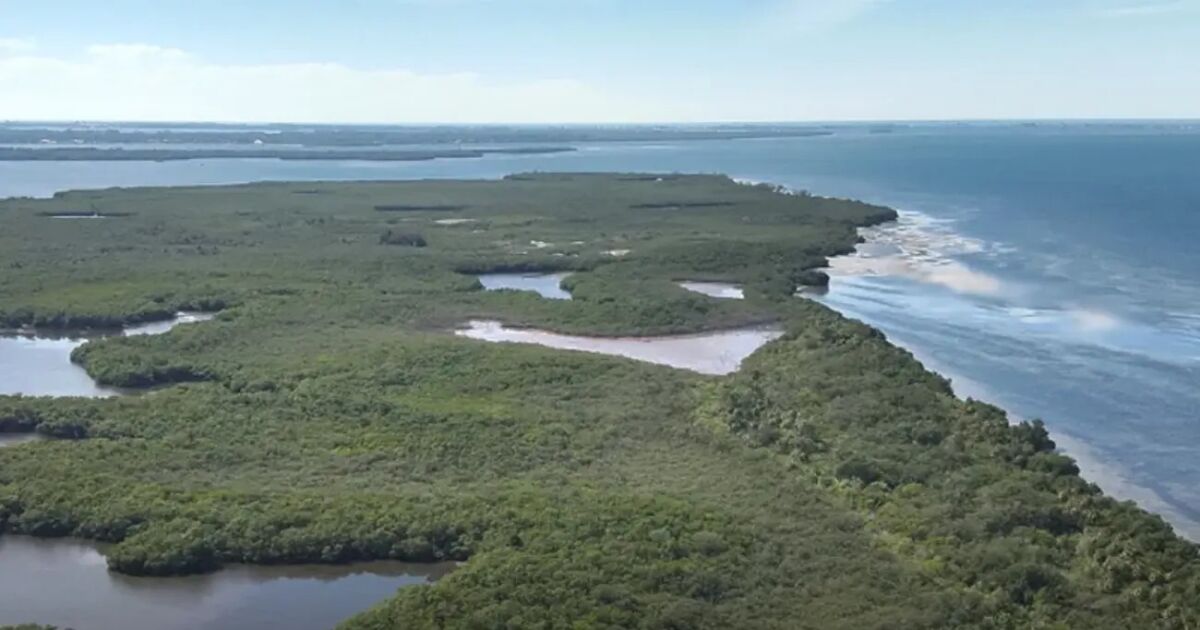 Planean un nuevo puerto base para cruceros en Florida